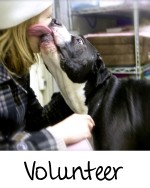 zoesgraphics_volunteer