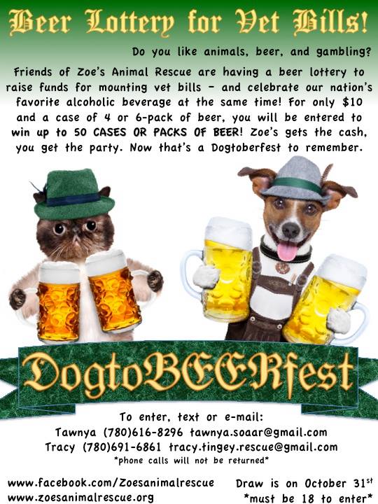 dogtoberfest