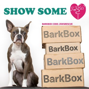 BarkboxGraphic