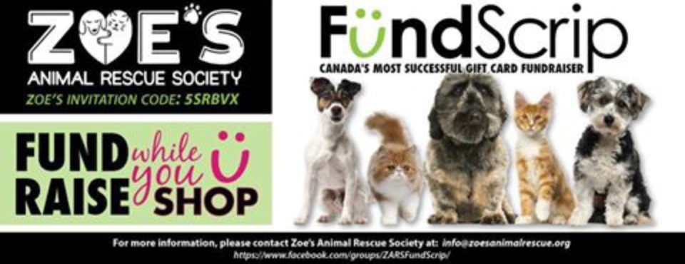 Zoe's Animal Rescue – Adopt a Dog or Cat in Edmonton, Alberta Zoe's Animal Rescue – Adopt a Dog or Cat in Edmonton, Alberta