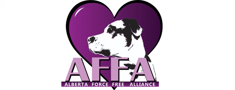 Final-AFFA-logo-corrected