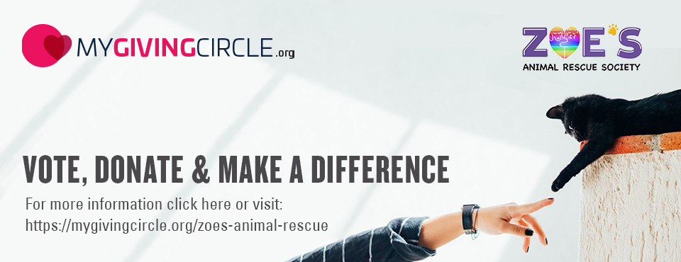 Zoe's Animal Rescue – Adopt a Dog or Cat in Edmonton, Alberta Zoe's Animal Rescue – Adopt a Dog or Cat in Edmonton, Alberta