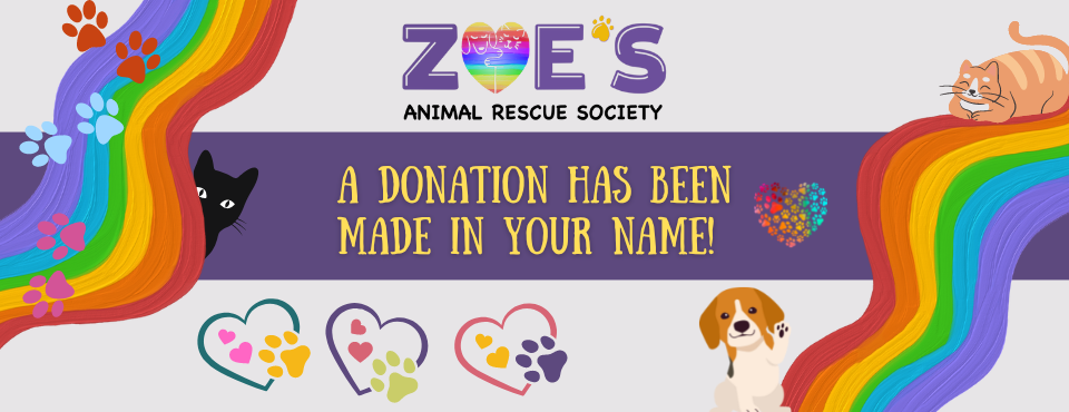 Zoe's Animal Rescue – Adopt a Dog or Cat in Edmonton, Alberta