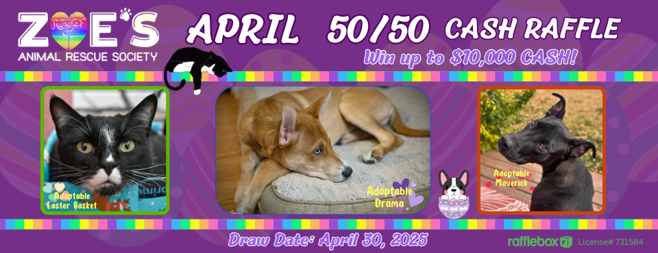 April Web 5050