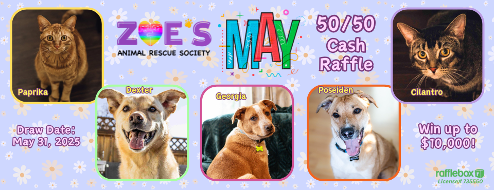 May 5050 Web