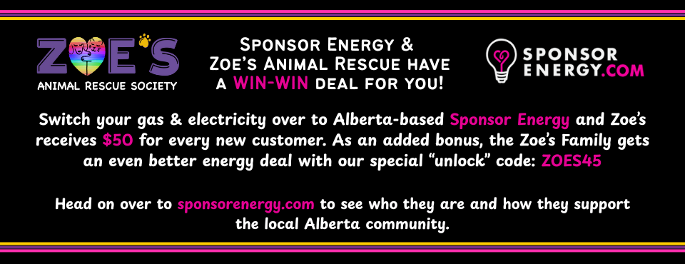 Switch to Sponsor Energy and Zoe's get a donation