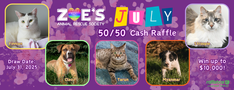 July 5050 Web