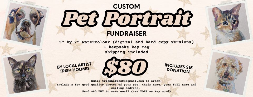 pet portrait fundraiser (960 x 370 px)