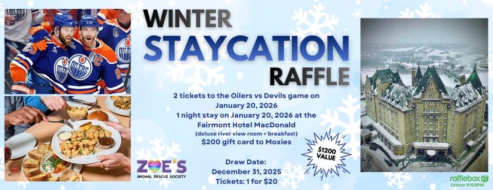 Winter Staycation Raffle Website (1)