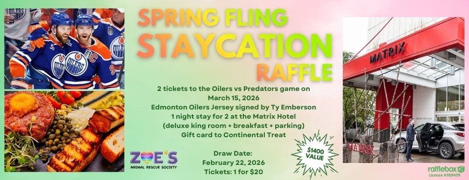 Spring Staycation Raffle Website