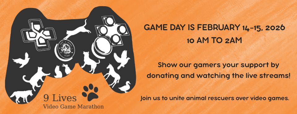 helpabuddy fund video game slider