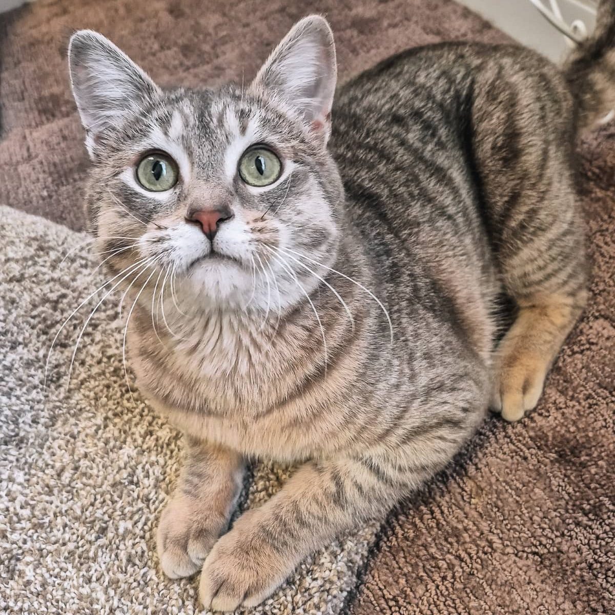 Catrick O’Hara