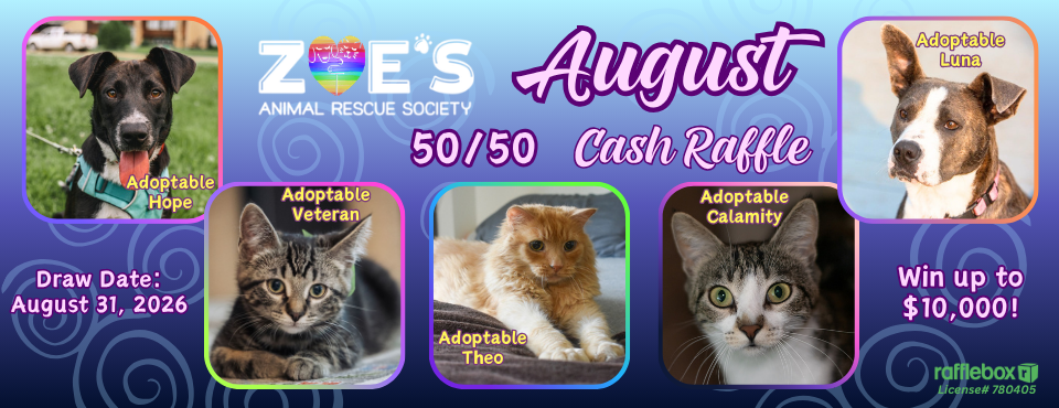 August 5050 Web
