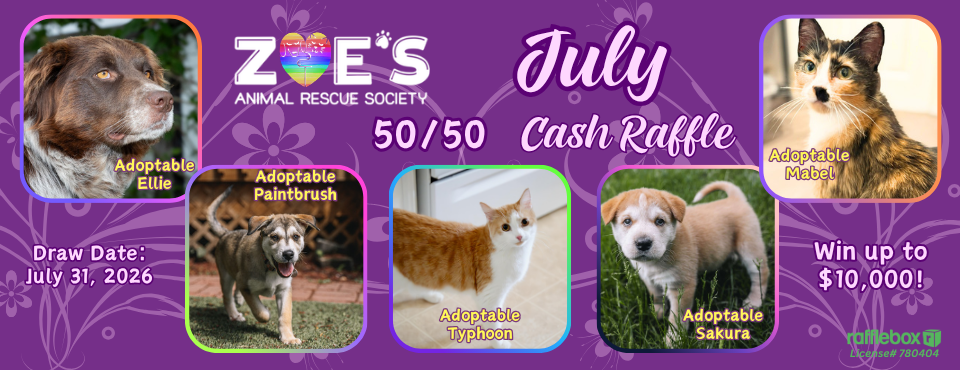 July 5050 Web