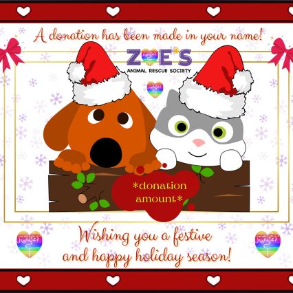 Donation as a Gift Holidays
