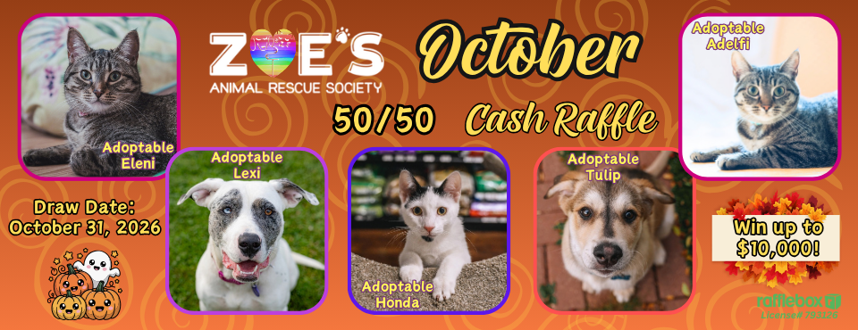 October 5050 Web